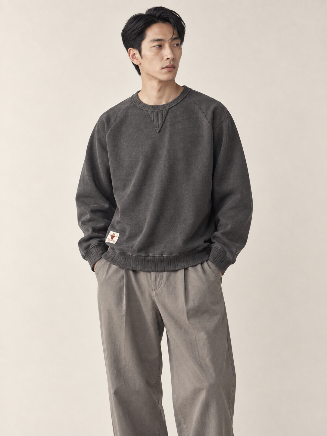 Editorial model hero view — Washed Crewneck Sweatshirt / Cotton Blend in Iron Gray